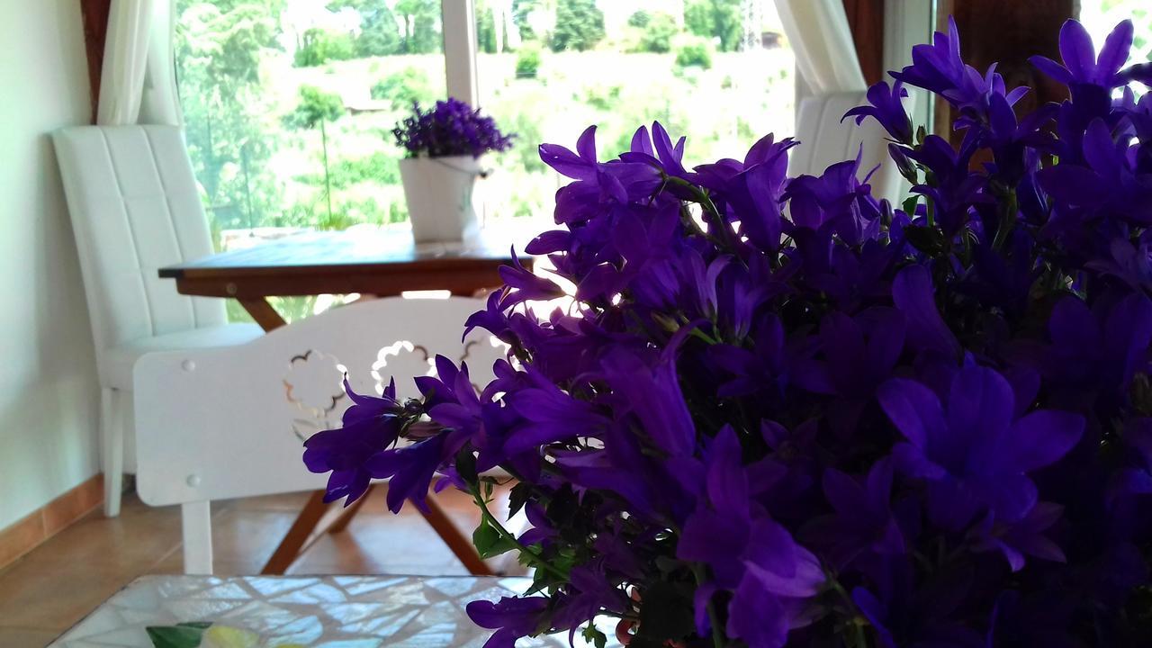 Bed and Breakfast Antico Casale Fabrizi Velletri Exterior foto
