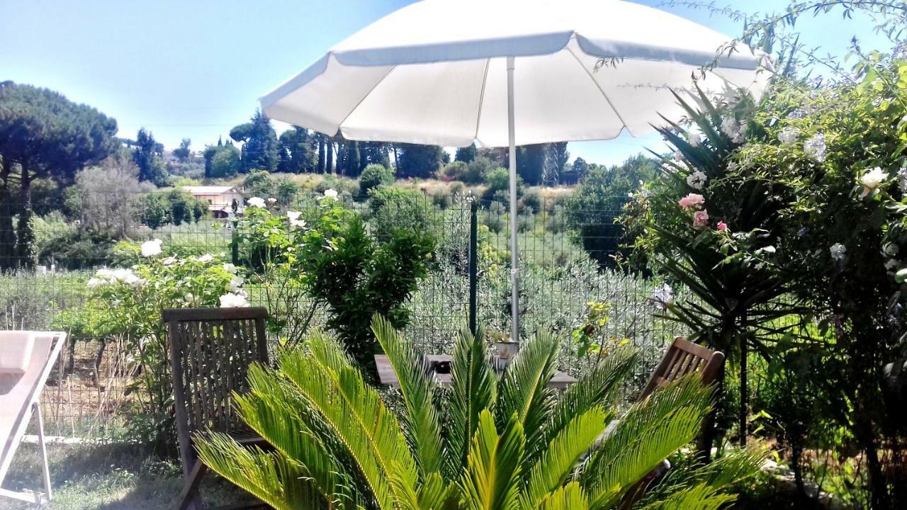 Bed and Breakfast Antico Casale Fabrizi Velletri Exterior foto