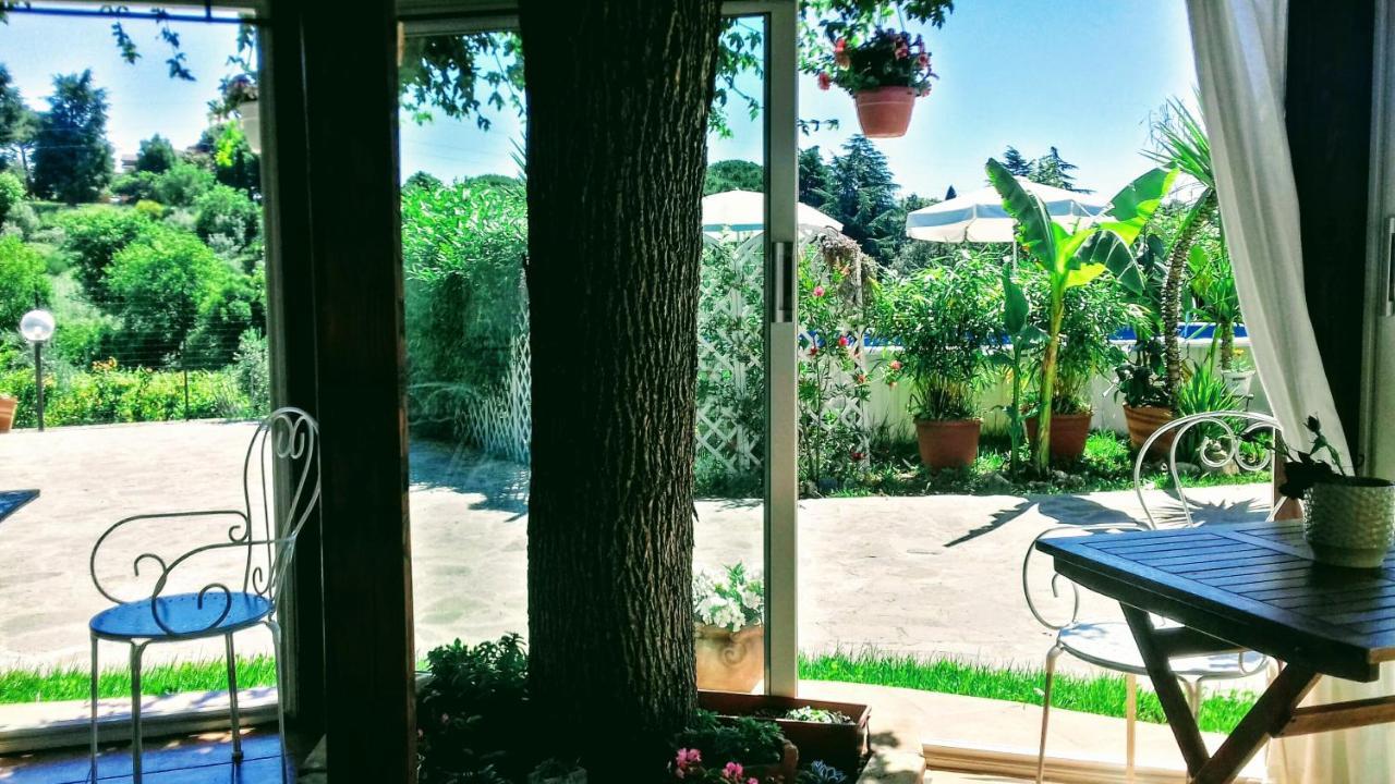 Bed and Breakfast Antico Casale Fabrizi Velletri Exterior foto